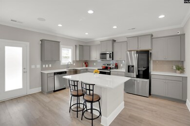 533 Mitscher Way, Chapin, SC 29036 - photo 3