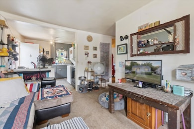 1529 S Pennsylvania Ave, Lansing, MI 48910 - photo 6