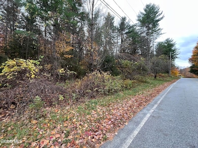 L34 Truesdale Hill Rd, Lake George, NY 12845 - photo 5