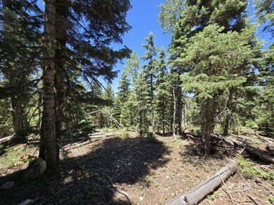 855 W Big Horn Cir, Duck Creek Village, UT 84762 - photo 7