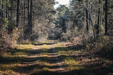 0 N County Line Rd, Sylvester, GA 31791 - photo 7