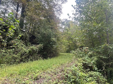 0 Little Lick Branch Rd, Inez, KY 41224 - photo 2