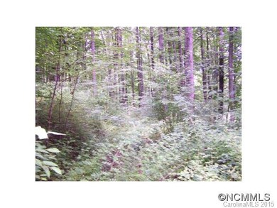 Wooded Area