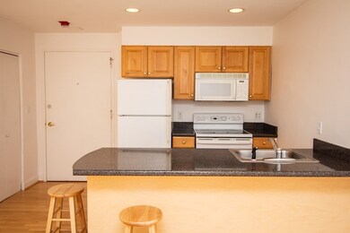 332 Jamaicaway unit 301, Jamaica Plain, MA 02130 - photo 3
