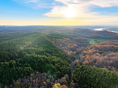 00 Sneed Rd, Decatur, TN 37322 - photo 6