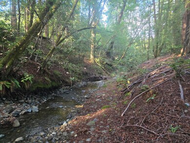 1777 Sprowl Creek Rd, Garberville, CA 95542 - photo 4