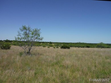 Tract 14 Private Road 3642, Copperas Cove, TX 76522 - photo 3