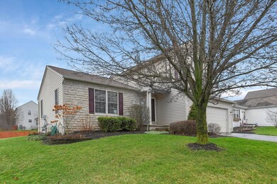 3-web-or-mls-458-albion-st