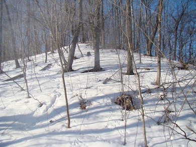 0 Old Gays Rd unit 25765679, Gays Mills, WI 54631 - photo 3