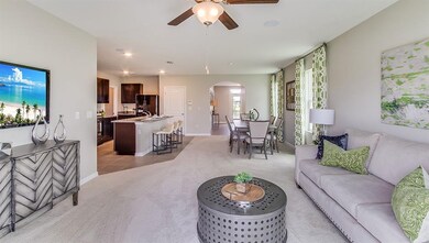 10845 Trailing Vine Dr, Tampa, FL 33610 - photo 7