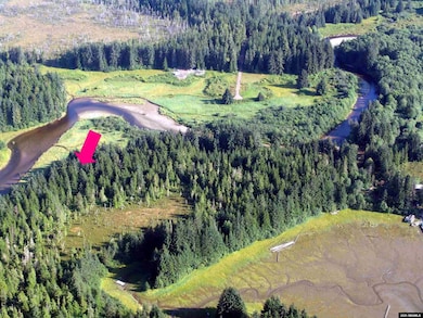 Looks at this wilderness! Aerial view with arrow towards LOT 8