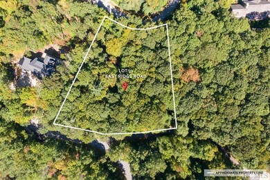 Lot 31 E Ridge Rd, Cashiers, NC 28717 - photo 3