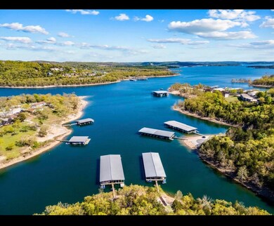 2 Treehouse Ln unit 8, Branson, MO 65616 - photo 3