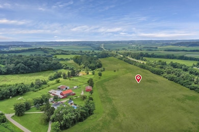 14-web-or-mls-DJI_0058 - Copy