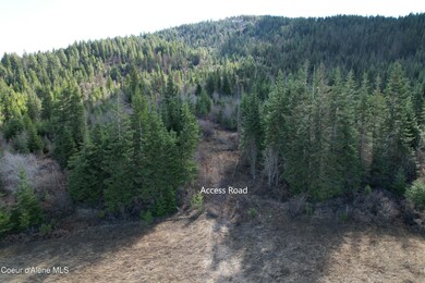 Tract 5 Thimbleberry Ln, Plummer, ID 83851 - photo 6
