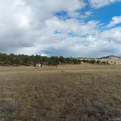 0 Singletree Rd unit REC7886163, Buena Vista, CO 81211 - photo 4