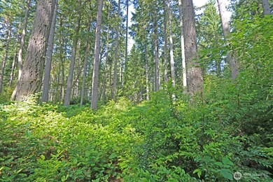 20825 Old Mill Rd SW, Vashon, WA 98070 - photo 7