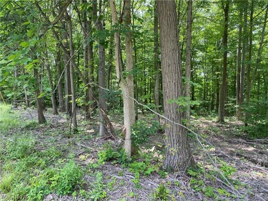 0 Columbia Ln unit 5051479, Roaming Shores, OH 44084 - photo 2