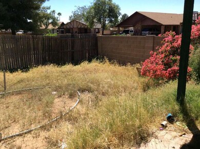 Backyard 2