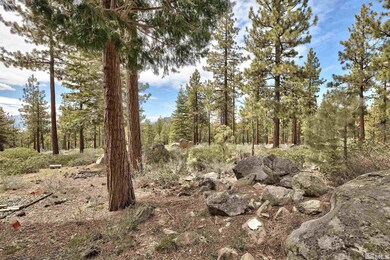 117 Snowbird Ct unit B, Stateline, NV 89449 - photo 2