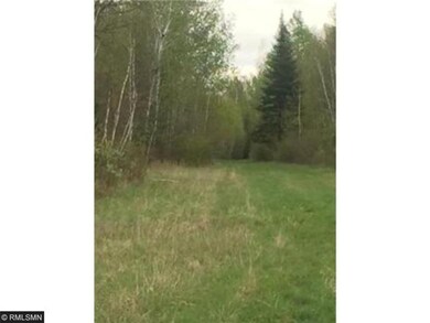 Train behind ag field leading into the woods