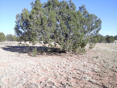 Lot 140 Juniperwood Ranch Unit 4, Ash Fork, AZ 86320 - photo 4