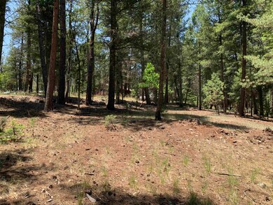 7 Timber Wolf unit 6 &24, Mayhill, NM 88339 - photo 4