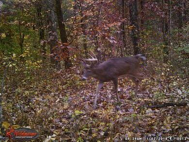 Tract 3 Mudlick Rd, Lawrenceburg, KY 40342 - photo 5