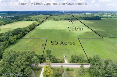 4251 E Frances Rd, Mount Morris, MI 48458 - photo 4