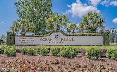 6455 Kirkwall Point SW, Ocean Isle Beach, NC 28469 - photo 4