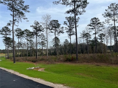 2065 Mourning Dove Ln, Opelika, AL 36801 - photo 3