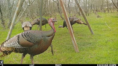 0000 Farm To Market Road 2071, Gainesville, TX 76240 - photo 7