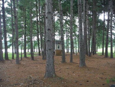 133 Sweetbriar Lakes Dr unit 22, Thomasville, GA 31757 - photo 4