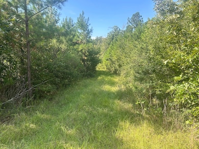 0 Coppell unit 24578243, Centreville, MS 39631 - photo 7