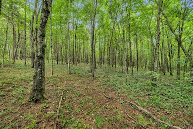 0 Eli Rd, Bon Aqua, TN 37025 - photo 2