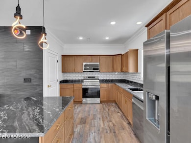 1283 Lori Ellen Ct, Sevierville, TN 37876 - photo 5