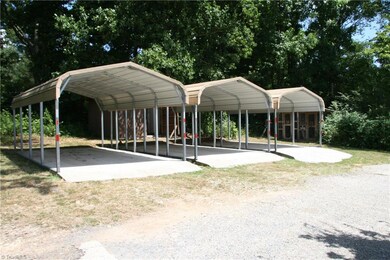 131 Bee Tree Mountain Dr, Star, NC 27356 - photo 4