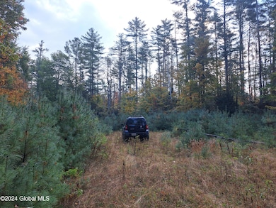 L9 Atateka Rd, Chester, NY 12817 - photo 3