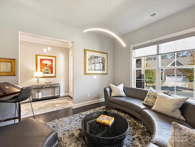 912 Raffaelo View, Mount Holly, NC 28120 - photo 6