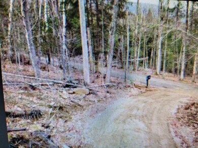 9 Old Country Rd, Warren, NH 03279 - photo 3