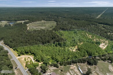 2140 Central Firetower Rd, Lucedale, MS 39452 - photo 5