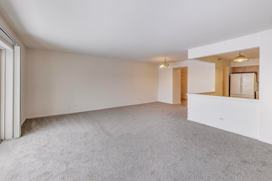 7021 W Touhy Ave unit 509B, Niles, IL 60714 - photo 6