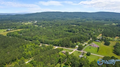 12.2 Riddles Bend Rd, Rainbow City, AL 35906 - photo 6