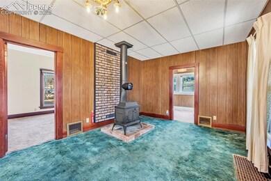 Unfurnished room featuring visible vents, wooden walls, a wood stove, and carpet flooring