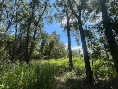 0 Creel Rd unit 23619140, Theodore, AL 36582 - photo 6