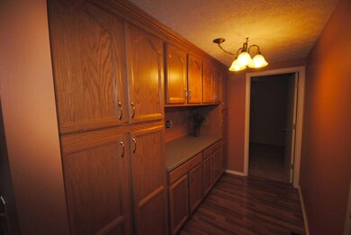 Extra Kitchen Storage