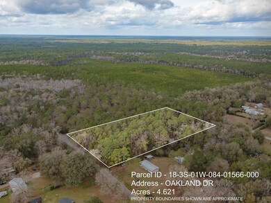 XXXX Slash Pine Dr Oakland Dr, Crawfordville, FL 32327 - photo 4