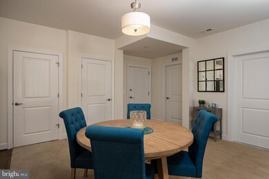 10520 Resort Rd unit 205, Ellicott City, MD 21042 - photo 5