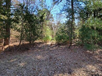 TBD Big Oak Bay Rd, Tyler, TX 75707 - photo 2