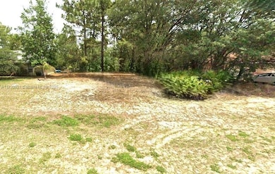 1139 W Hampshire Blvd, Dunnellon, FL 34434 - photo 6